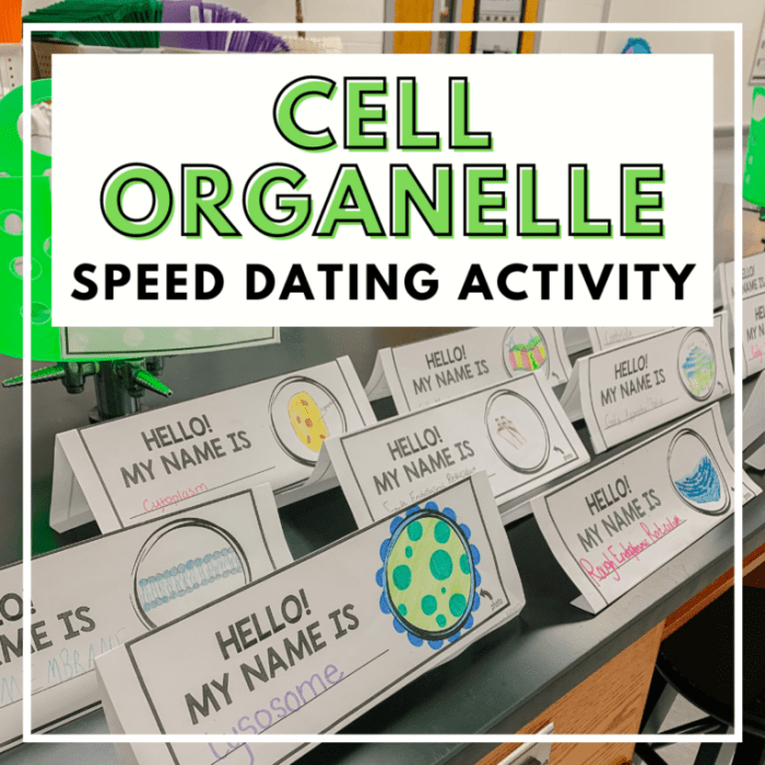 Organelle speed dating ap biology