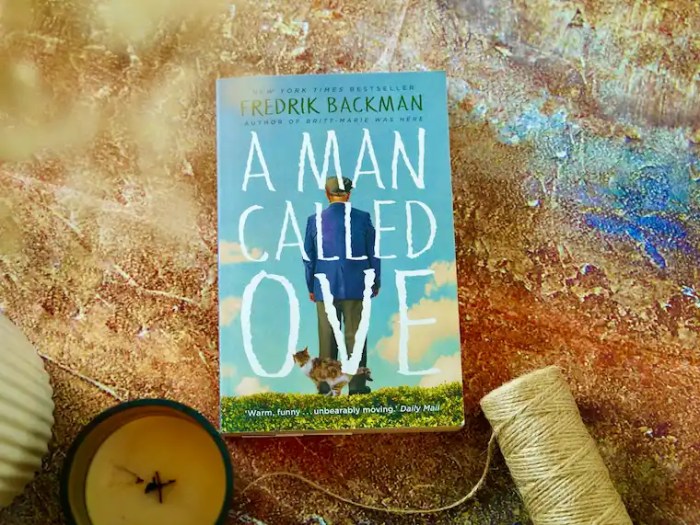 Discussion questions for a man called ove