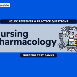 Rn learning system pharmacology final quiz