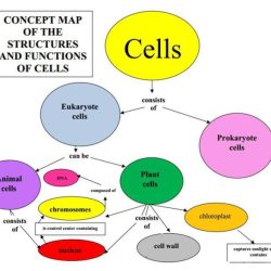 Freeman's biological science 7th edition