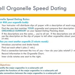 Organelle speed dating ap biology