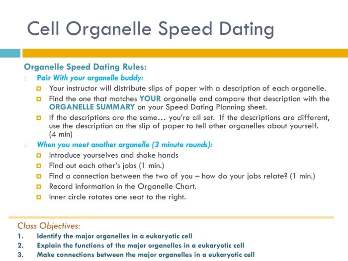 Organelle speed dating ap biology