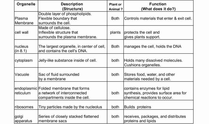 Cells and cell organelles worksheet answers