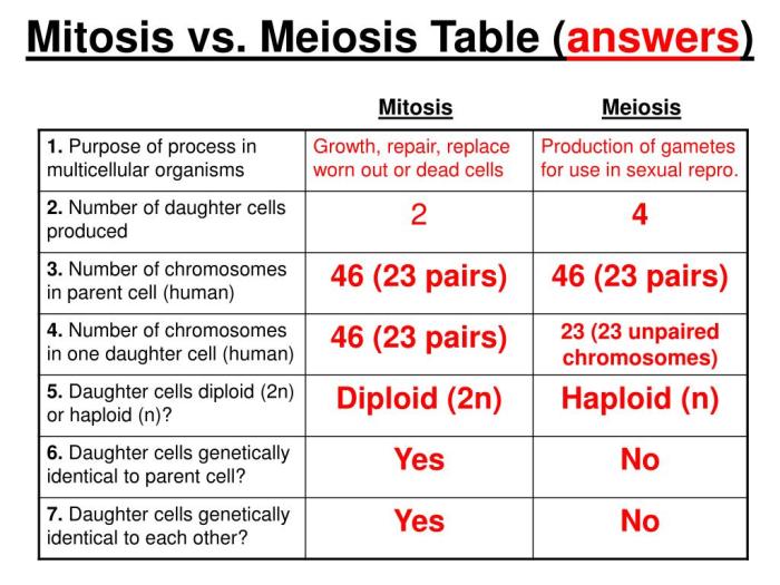 Mitosis vs meiosis chart answer key