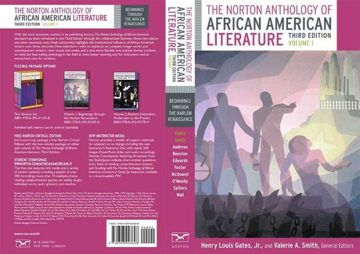 The norton anthology of african american literature 3rd edition