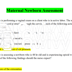 Rn learning system maternal newborn practice quiz 2