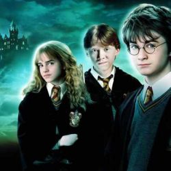 Harry potter and the chamber of secrets ar test questions