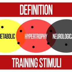 Stimuli n1