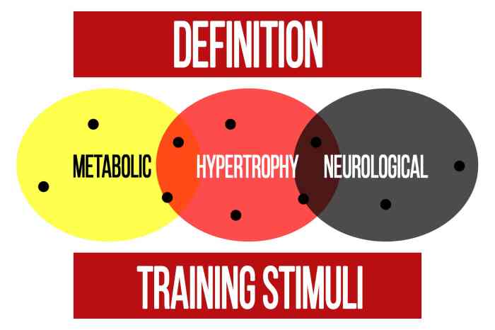 Stimuli n1