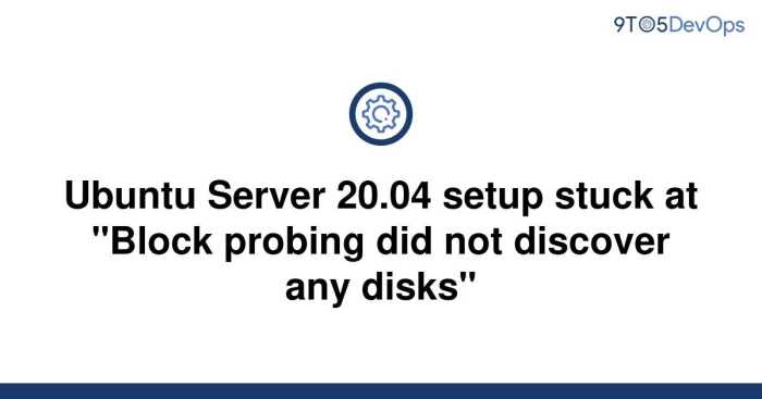 Block probing did not discover any disks. unfortunately this means